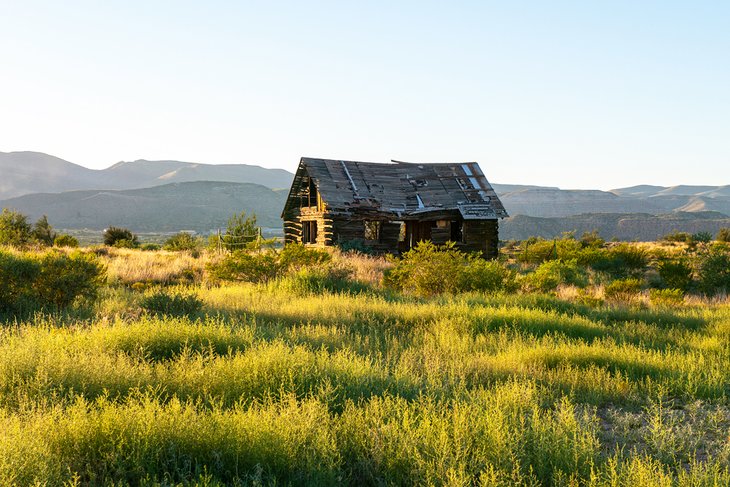 Abandoned cabin at Dead Horse Ranch State Park