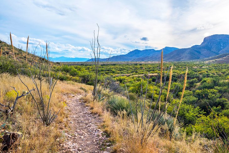 Kartchner Caverns State Park