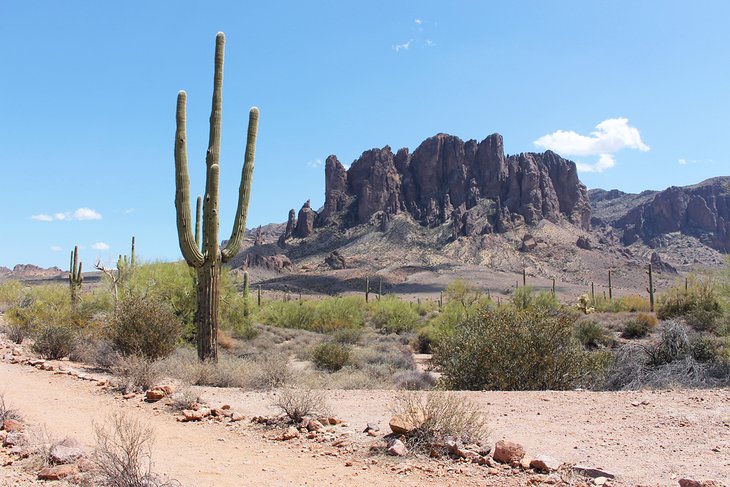 Lost Dutchman State Park