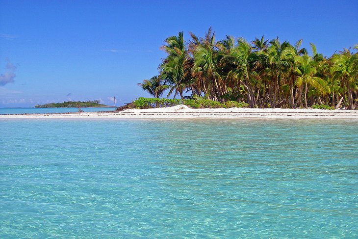 Palm-fringed island in the Abacos