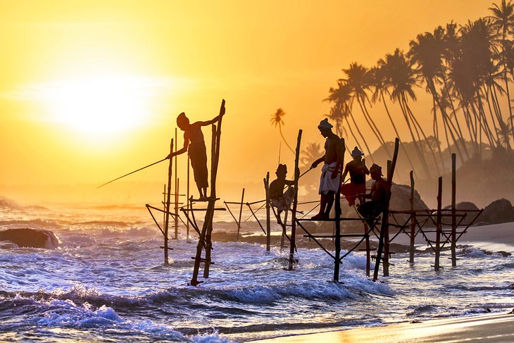 Stilt fisherman in Sri Lanka