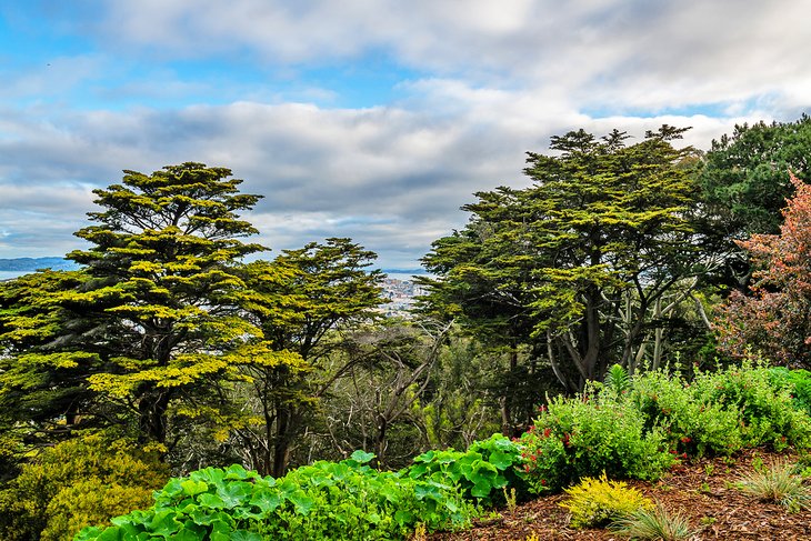 Los 10 mejores parques de San Francisco