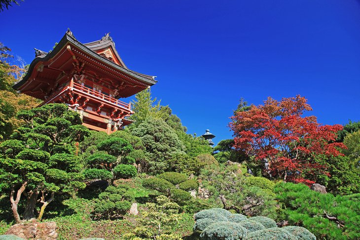 Jardin de thé japonais dans le Golden Gate Park
