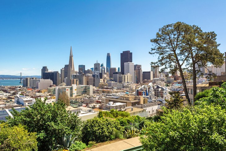 View of downtown San Francisco from Ina Coolbrith Park