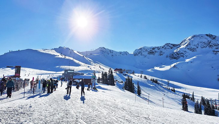 Late afternoon on Whistler Mountain