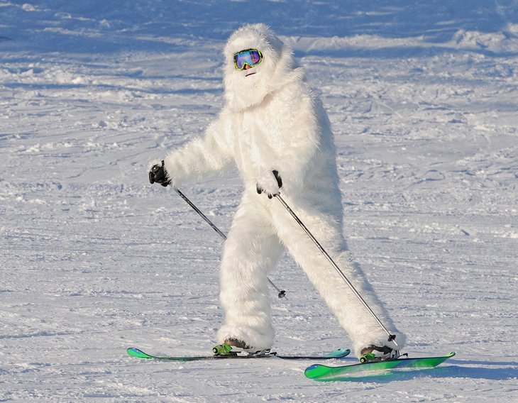 Sasquatch skiing