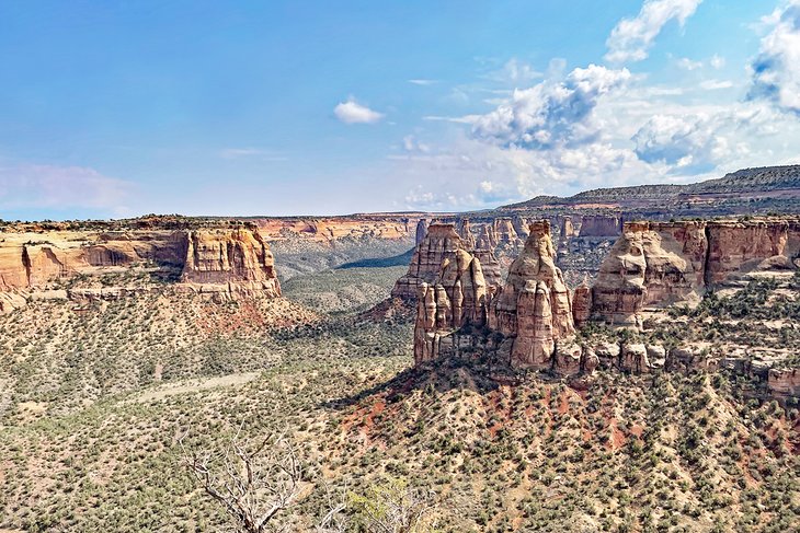Scenery in Colorado National Monument