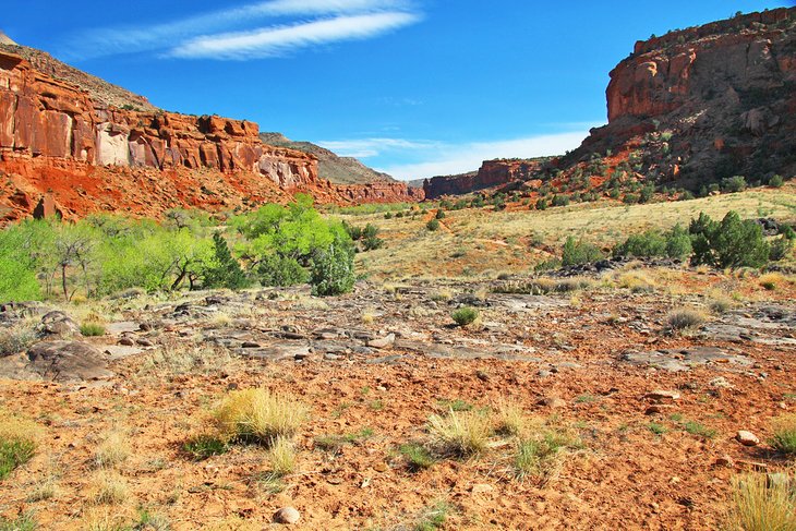 Dominguez Canyon