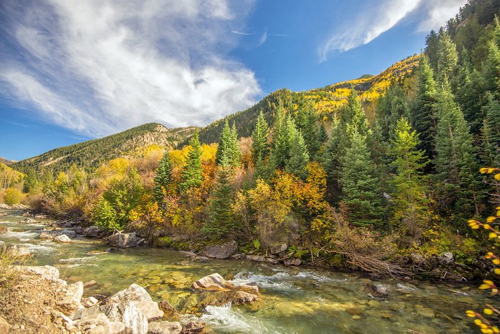 Fall colors near Avalanche Campround