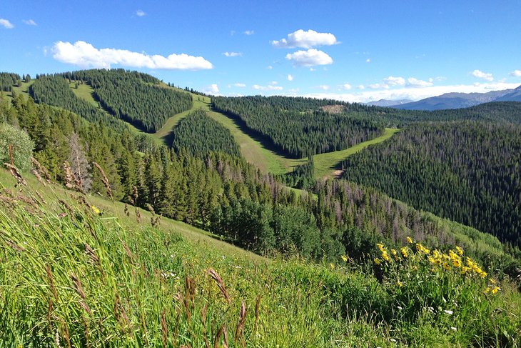 10 mejores caminatas en Vail, CO