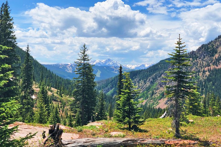 Booth Falls Trail