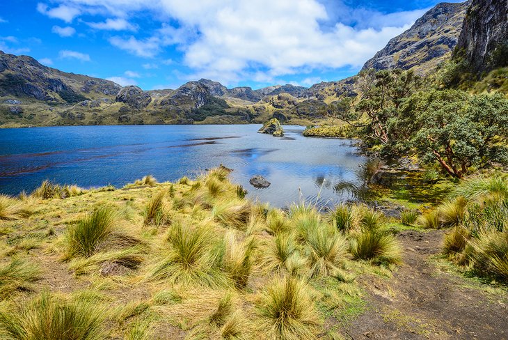 Toreadora Lake in Cajas National Park