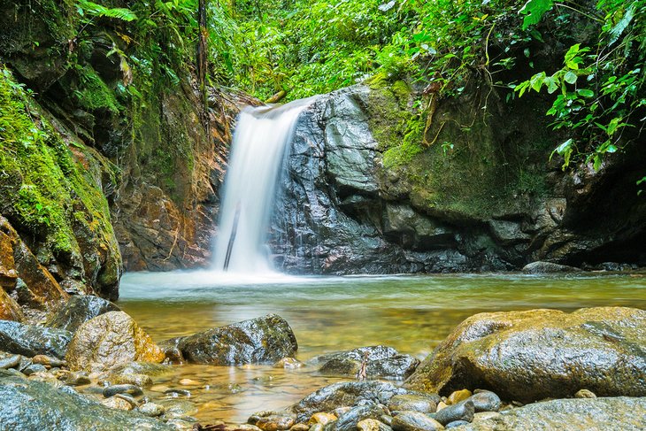 Waterfall surrounded by lush vegetation in Podocarpus National Park
