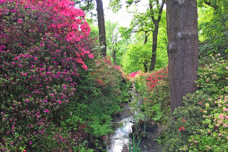 Isabella Plantation