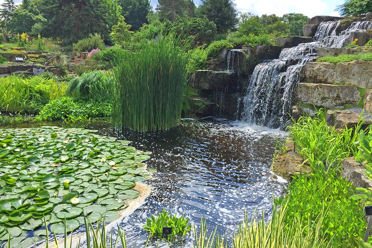 Waterfall in Kew Gardens