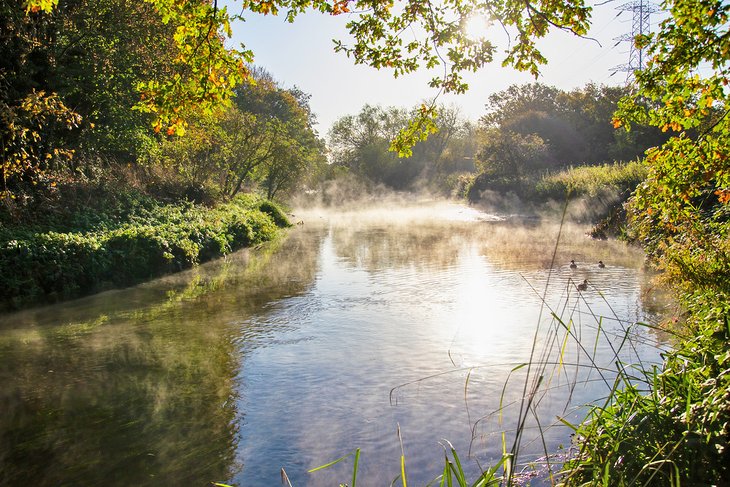 River Wandle in the early morning