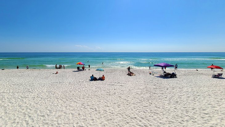 Pensacola Beach East Dog Park