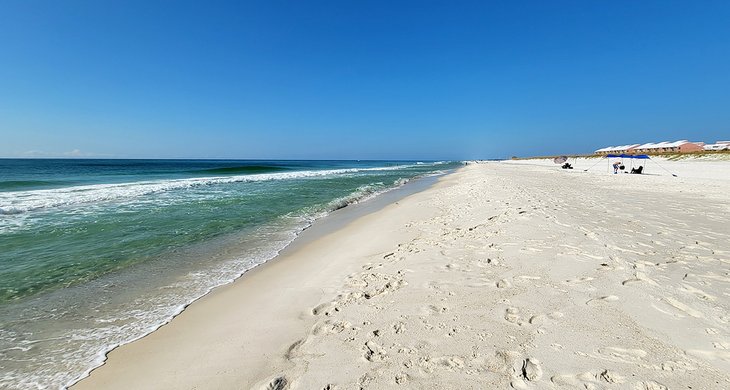 Pensacola Beach West Dog Park