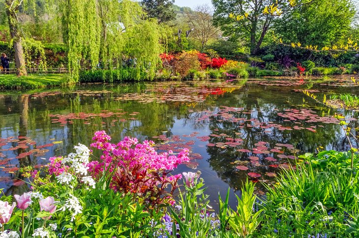 Claude Monet's garden in Giverny