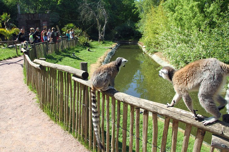 14 atracciones y cosas para hacer mejor valoradas en Nantes