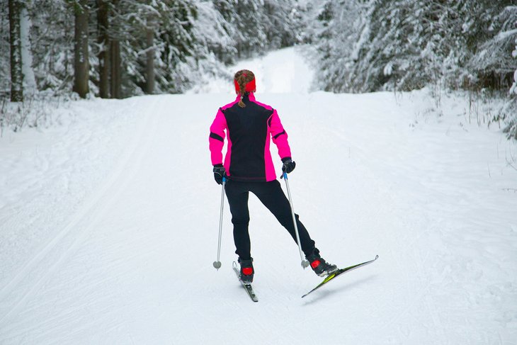 Cross-country skier