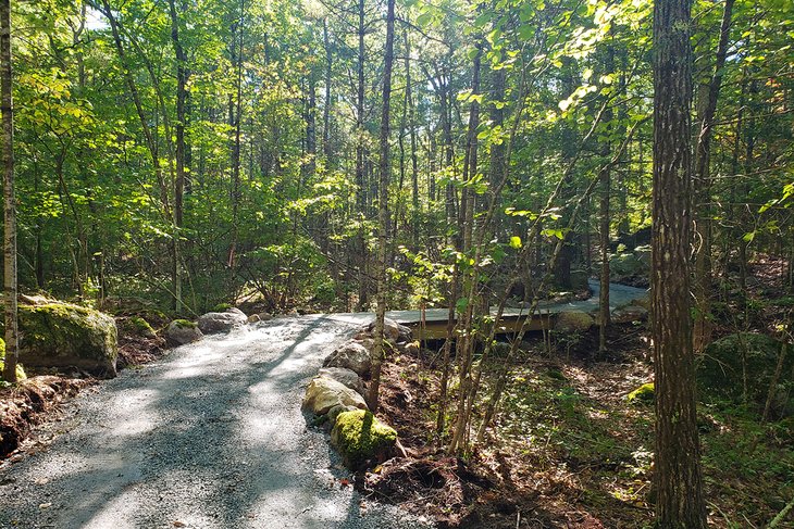 Accessible trail at Manchester Cedar Swamp | Photo Copyright: Lura Rogers Seavey