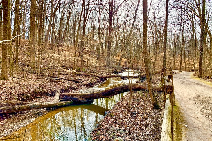 Blendon Woods trails