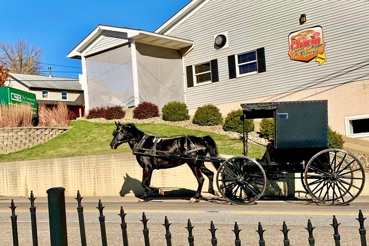 Amish buggy in Millersburg