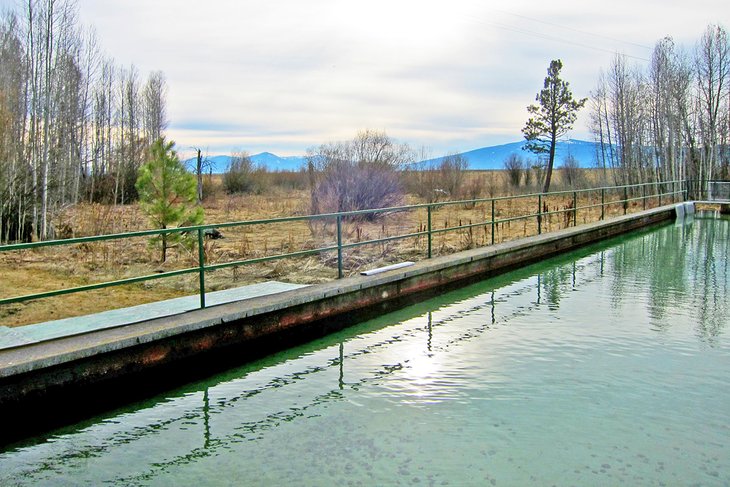 Klamath Fish Hatchery