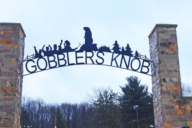 Gobbler's Knob, Punxsutawney