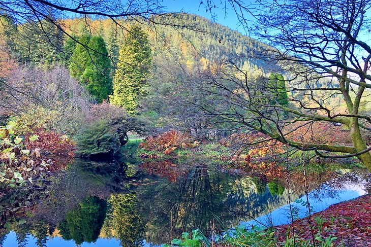 Benmore Botanic Garden