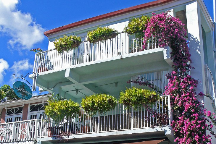 Photo Source: Cruz Bay Boutique Hotel