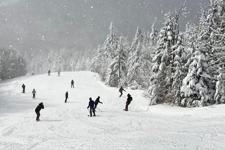 Skiers and boarders enjoying fresh snow at Okemo Mountain Resort