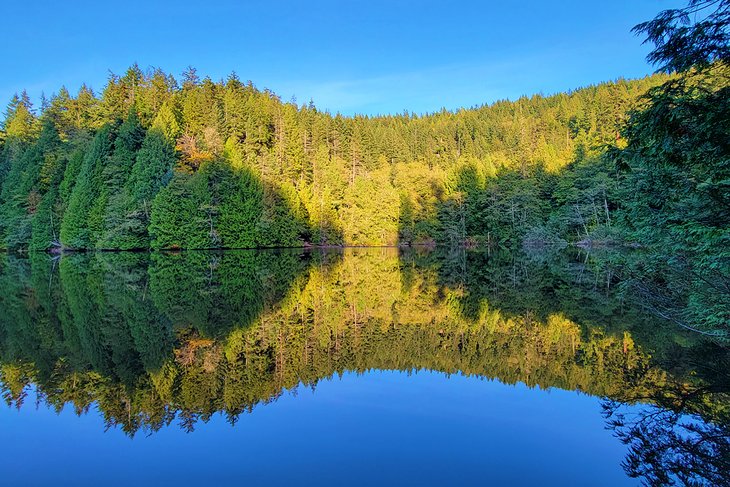 11 mejores caminatas en Bellingham, WA