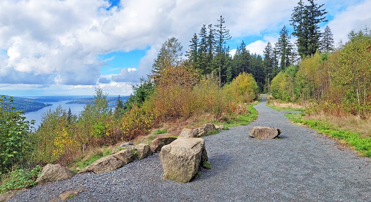 Chanterelle Trail Overlook