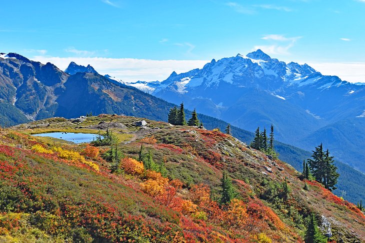 Mount Baker, Yellow Aster Butte Trail