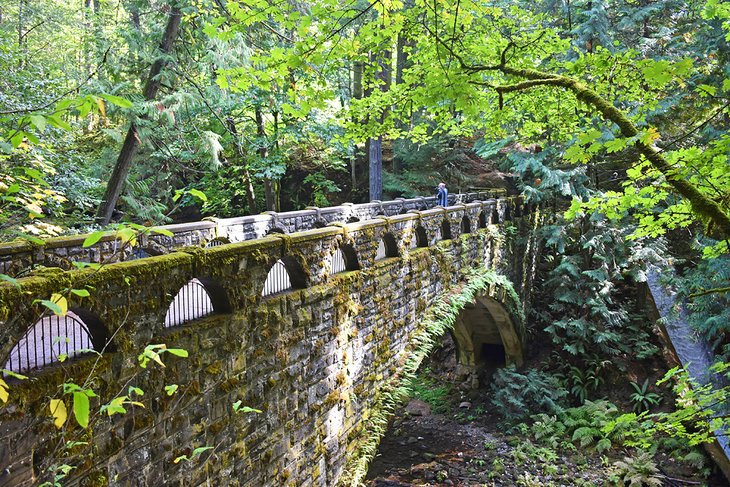 Bridge near Whatcom Falls