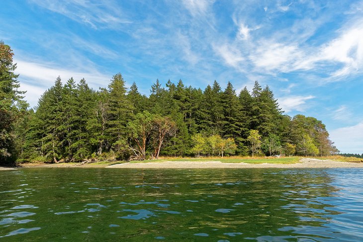 9 mejores lugares para acampar cerca de Deception Pass, WA