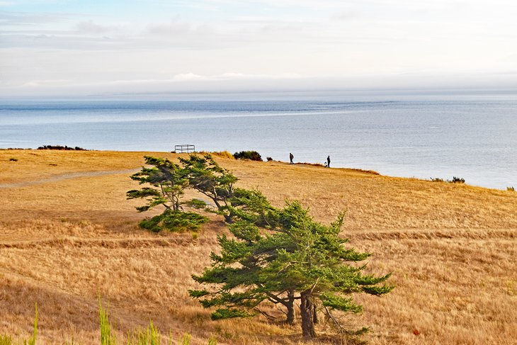 9 mejores lugares para acampar cerca de Deception Pass, WA