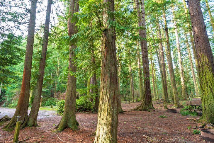 Campsites in Washington Park