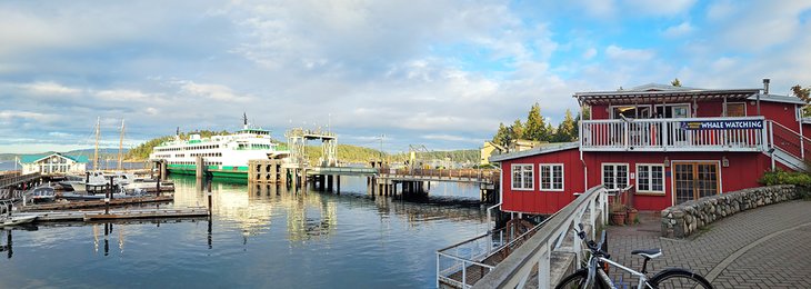 friday harbor tourist attractions