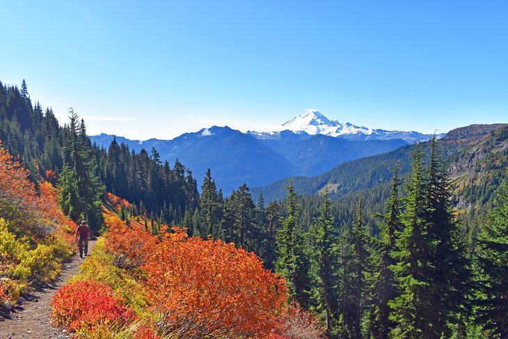 Yellow Aster Butte Trail, near Douglas Fir Campground