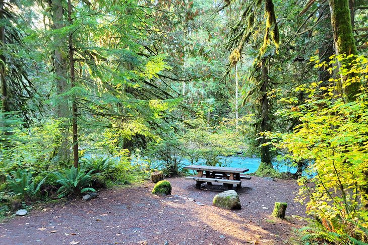 Douglas Fir Campground