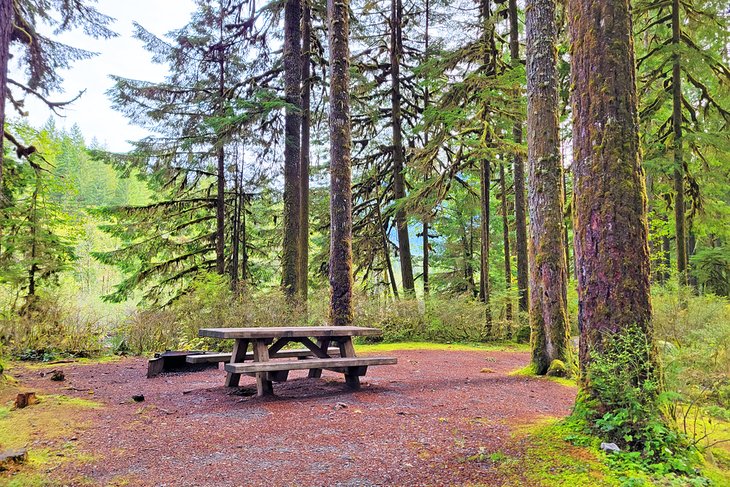 10 mejores lugares para acampar en Mt. Baker, WA