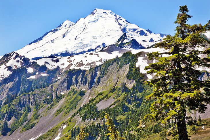 Mount Baker from Artist Point