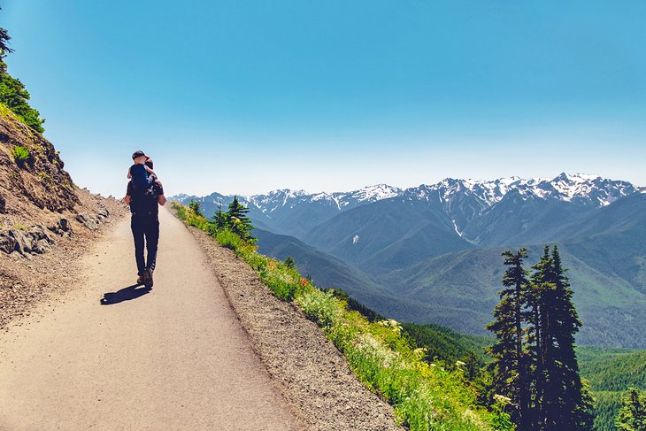 Hikers on Hurricane Hill