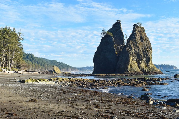 14 Top-Rated Hiking Trails in Olympic National Park - Washington Olympic National Park Top RateD Hiking Trails Rialto Beach3