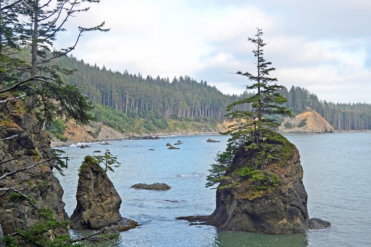 Third Beach coastline