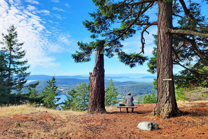Enjoying the view from a bench in the Turtleback Mountain Preserve