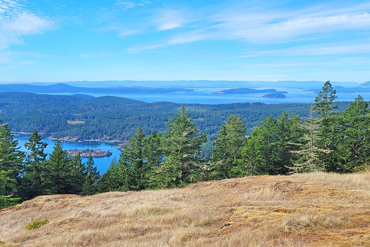 View from Ship Peak, Turtleback Mountain Preserve